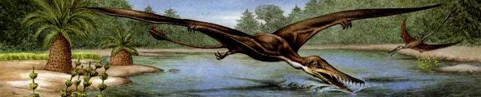 Птерозавры, как эти рамфоринхи, летали низко над водой, чтобы ловить насекомых.