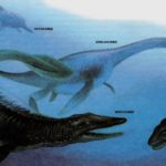 Три морских рептилии мелового периода