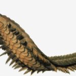 Артроплевра - гигантская многоножка (1,8 м в длину). Несмотря на свой устрашающий вид, она питалась растениями.