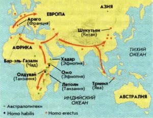 Основные местонахождения ископаемых гоминид и пути расселения Homo erectus