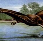 Птерозавры, как эти рамфоринхи, летали низко над водой, чтобы ловить насекомых.