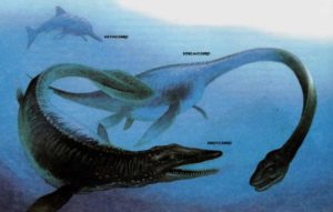 Три морских рептилии мелового периода