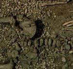 Это захоронение ребенка имеет возраст 30 000 пет. Оно было найдено в Италии.