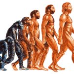 Продолжается ли эволюция и сегодня